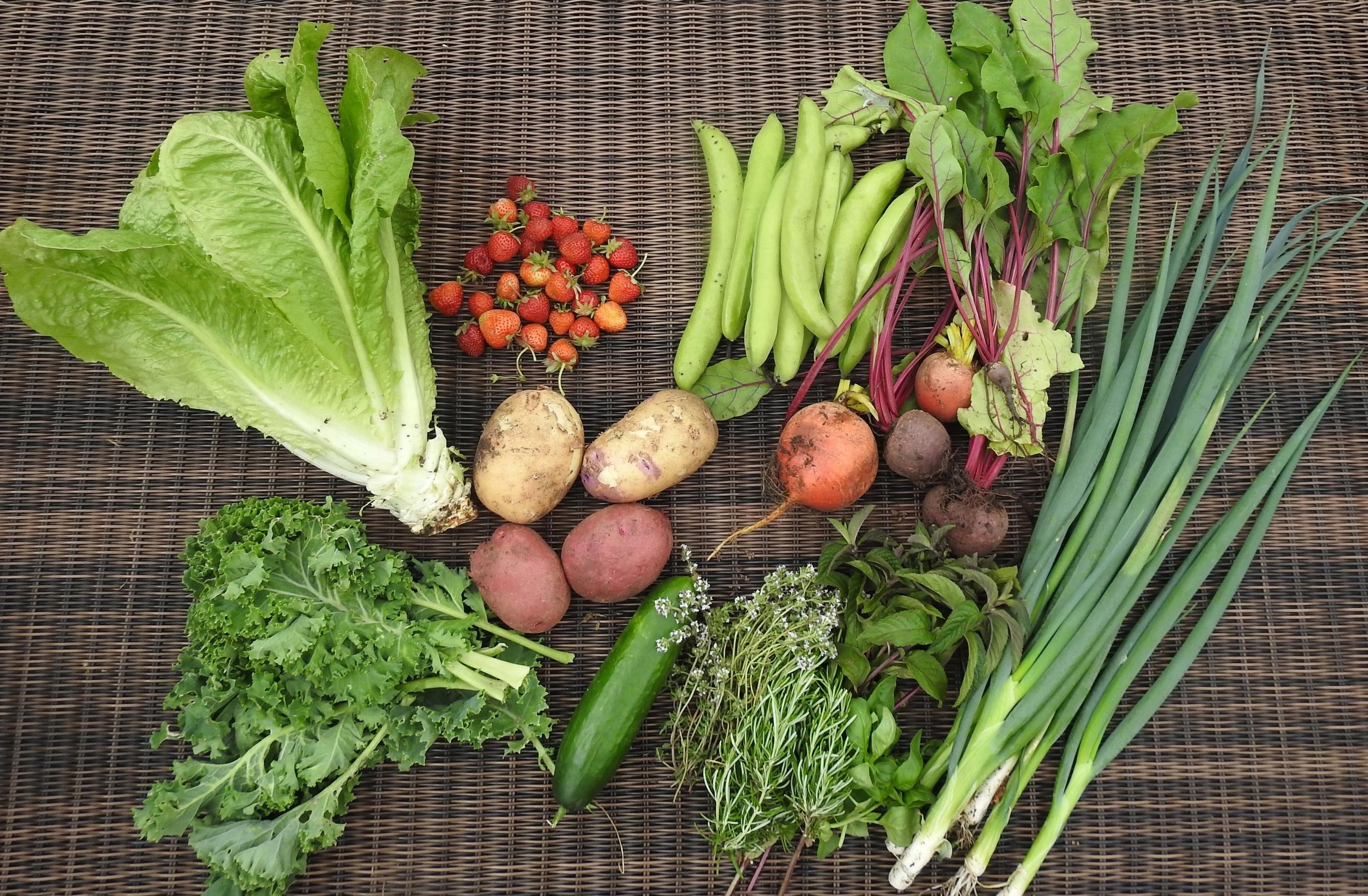 Harvest share box