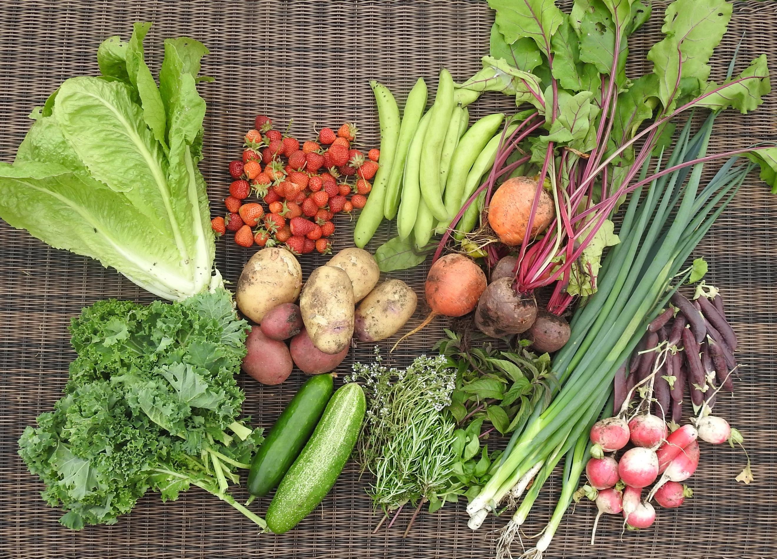 Bumper Harvest box
